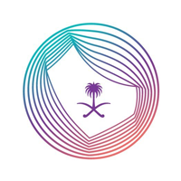 الهيئة العامة لتنظيم الإعلام