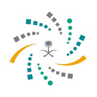 شركة سايبكس